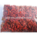 Norme UE Ningxia Goji Berry avec faible teneur en sucre